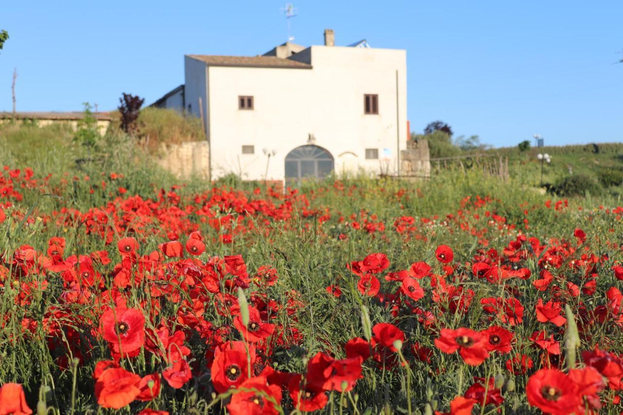 Masseria Agriturismo Moschella Posta Piana Exteriér fotografie
