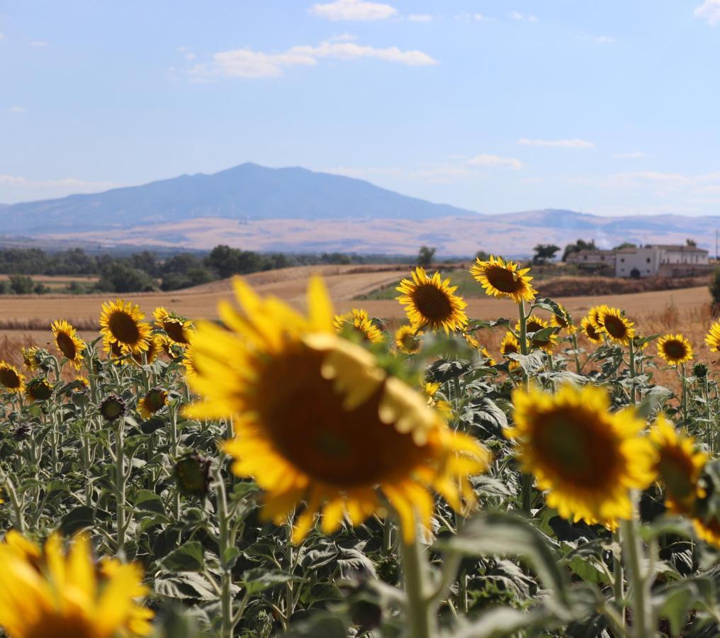 Masseria Agriturismo Moschella Posta Piana Exteriér fotografie